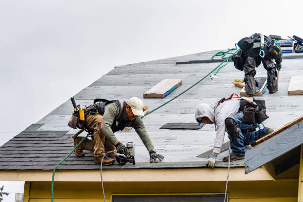 Professional Roofing technician working in East Pembroke, NY